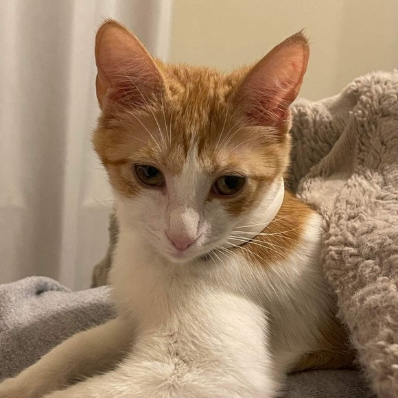 Meet your Posher, Janette (she/her) - Picture 3 of 4